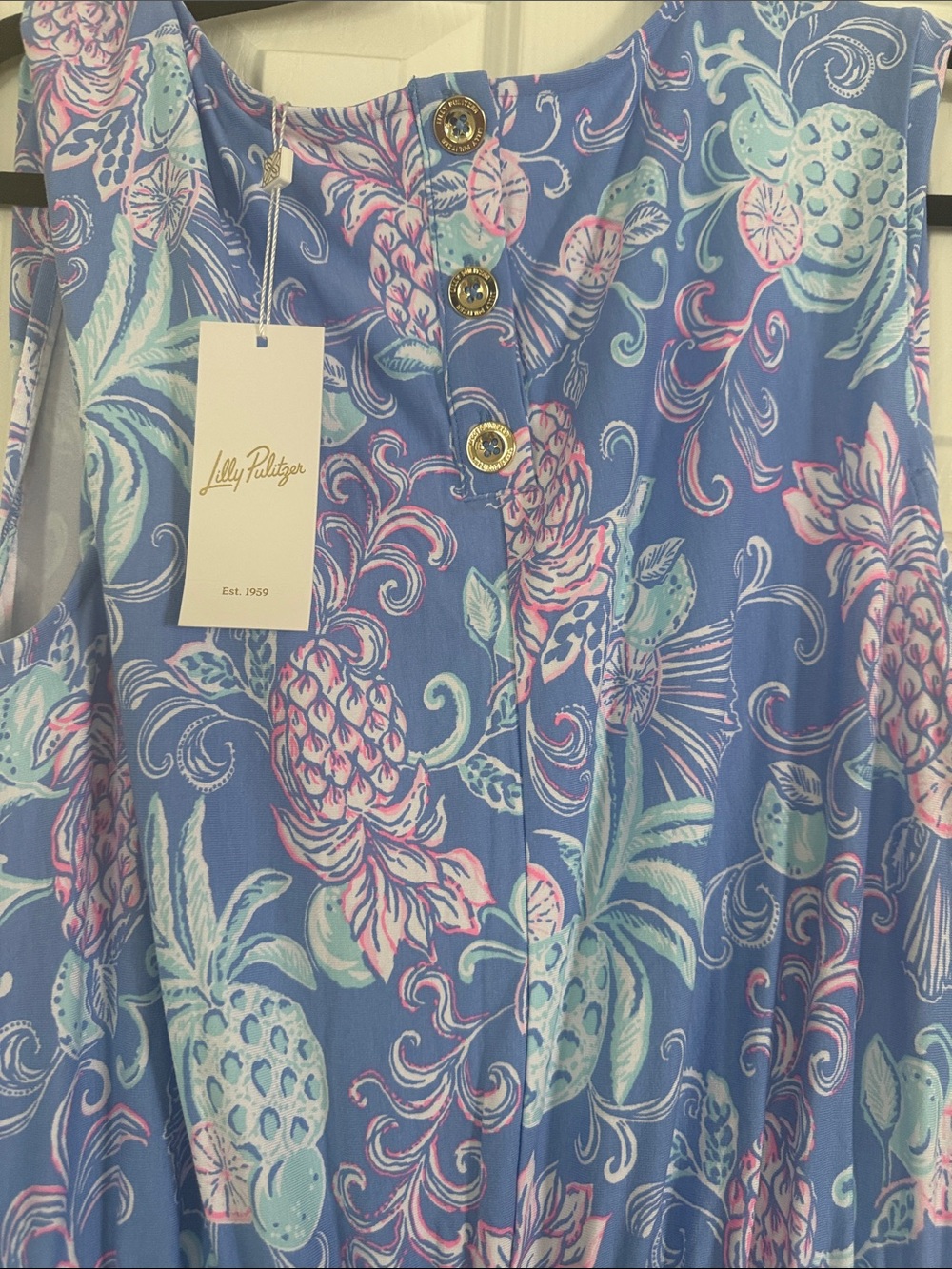 Lilly Pulitzer Blue Pineapple & Floral Sleeveless Danville Dress - Picture 2 of 4